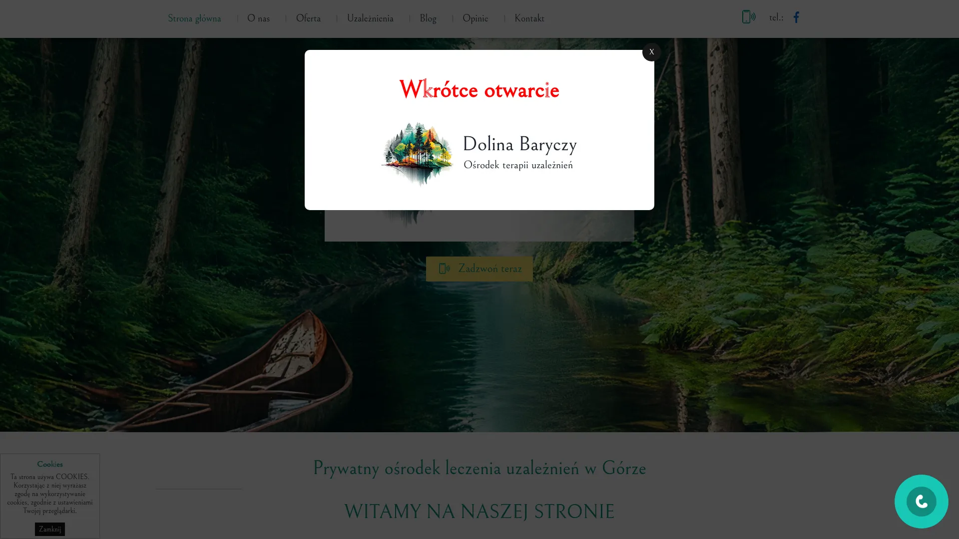Podgląd strony